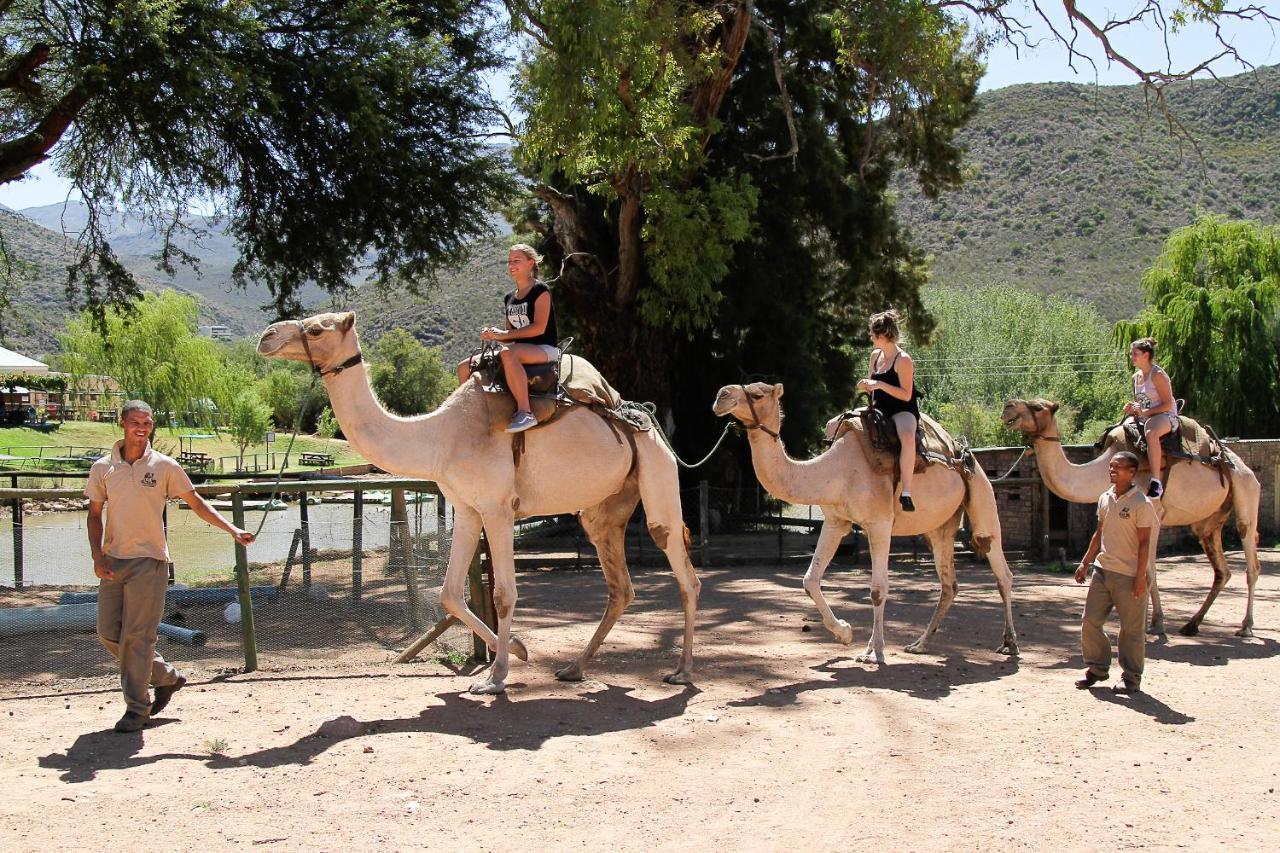 Wilgewandel Holiday Farm & Day Restaurant Oudtshoorn Exterior photo