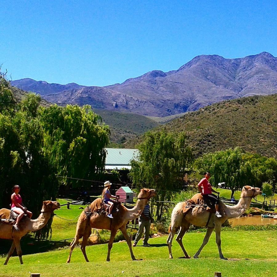 Wilgewandel Holiday Farm & Day Restaurant Oudtshoorn Exterior photo