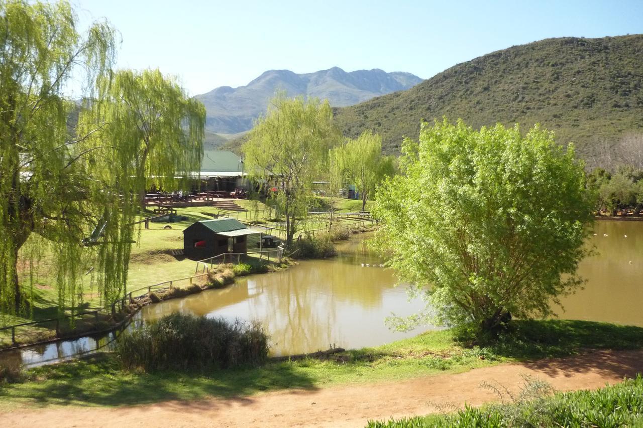 Wilgewandel Holiday Farm & Day Restaurant Oudtshoorn Exterior photo